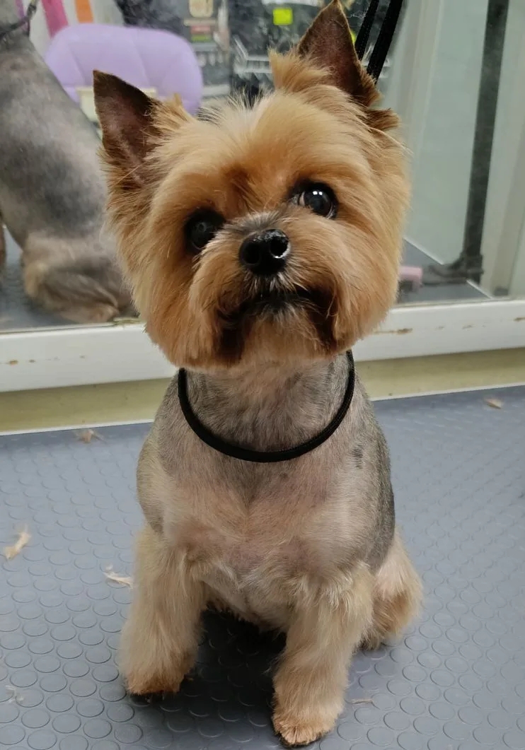 Наши работы